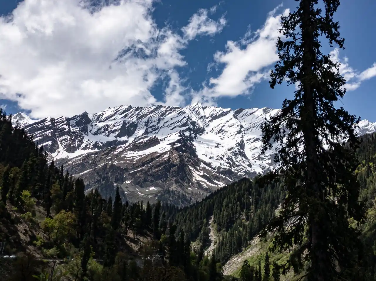 Jammu & Kashmir