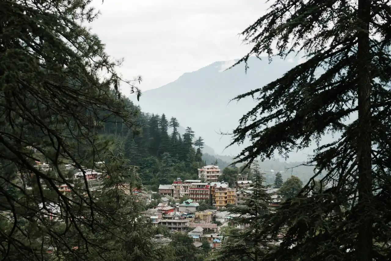 Mcleodganj & Bir: 3 Days/2 Nights