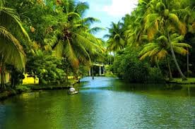 Romantic Kochi & Munnar Honeymoon: 4 Days of Kerala Bliss